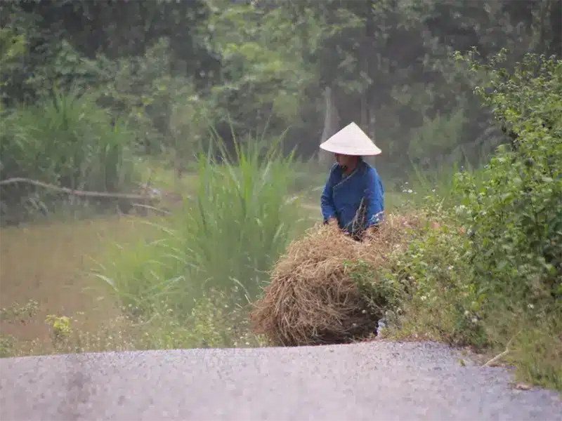 vietnam-highlights-2